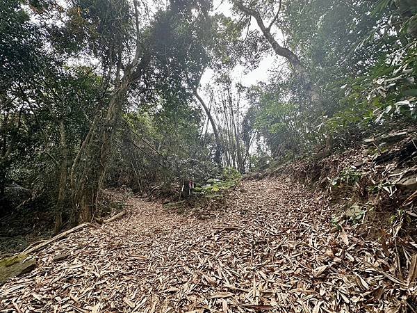 小百岳＃66 西阿里關山、茅山南峰二刷（2024/03/20