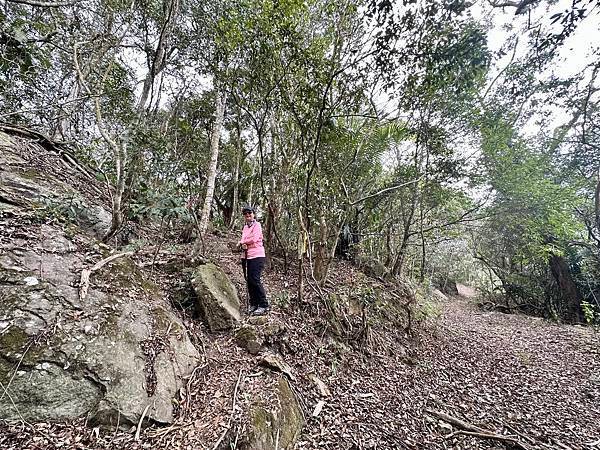 小百岳＃66 西阿里關山、茅山南峰二刷（2024/03/20