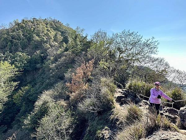 小百岳＃034 苗栗加里山（鹿場登山口）二刷 2024/03