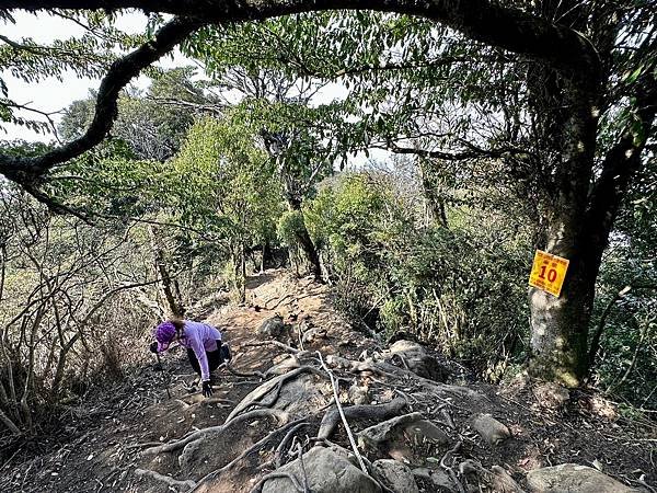 小百岳＃034 苗栗加里山（鹿場登山口）二刷 2024/03