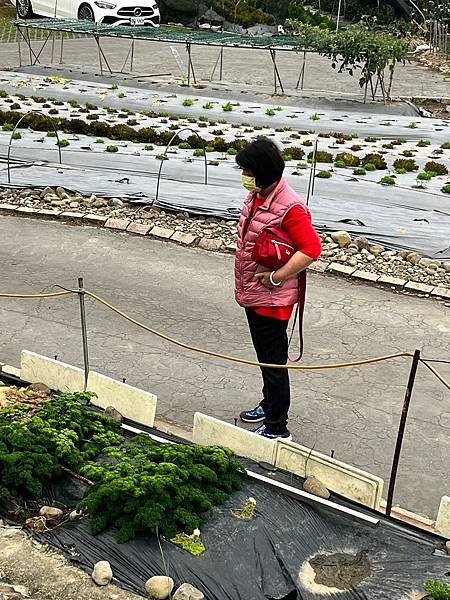 台灣東部自駕遊〈2024/03/29-04/01〉