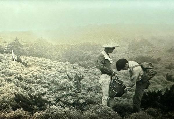 年少輕狂登中央山脈最高峰秀姑巒山1972/05/08-11