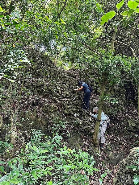 北柴山 馬卡道澤蟹、泰國谷、一簾幽夢、半龜蛇 2024/05