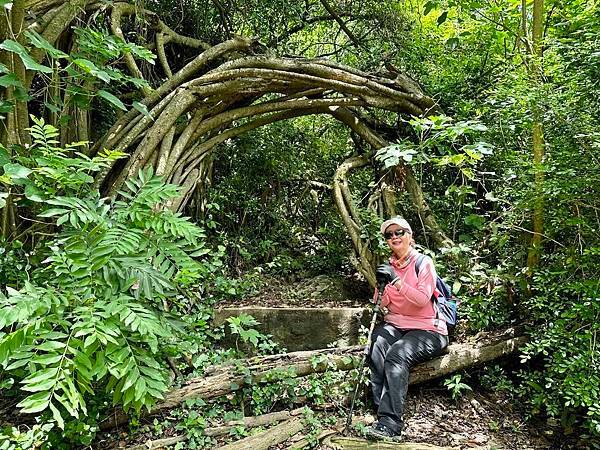 北柴山 馬卡道澤蟹、泰國谷、一簾幽夢、半龜蛇 2024/05