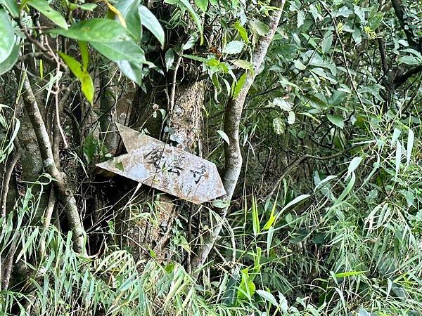 新北觀音山 硬漢嶺、盤絲一尖、二尖、凌雲尖、大崩壁〈台灣百大