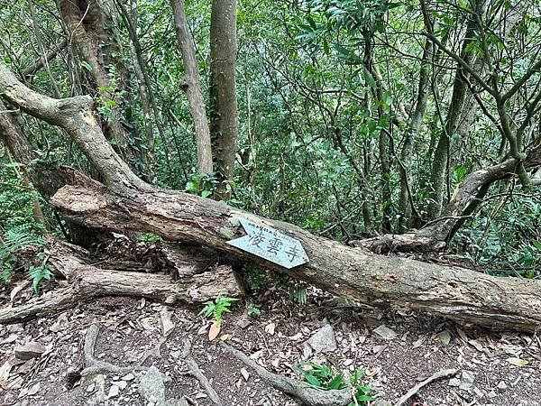 新北觀音山 硬漢嶺、盤絲一尖、二尖、凌雲尖、大崩壁〈台灣百大