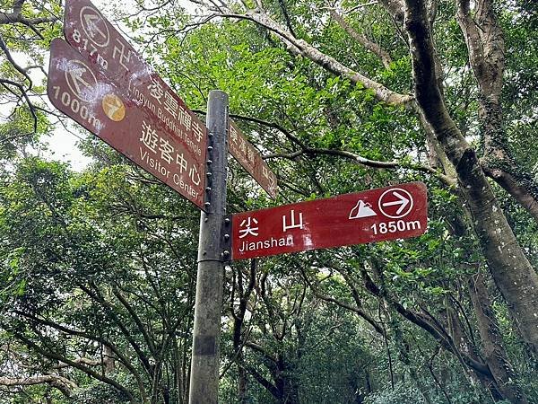 新北觀音山 硬漢嶺、盤絲一尖、二尖、凌雲尖、大崩壁〈台灣百大