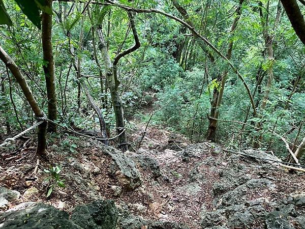 南北柴山串走 四棵榕、盤嶺、山龍溝、長壽園、百獸岩、七崁 2