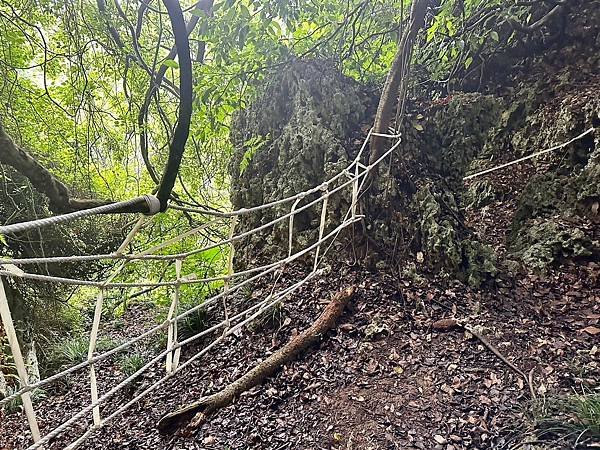 柴山 北峰嶺、盤嶺、虎洞、2024/07/23