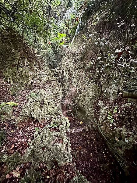 柴山 北峰嶺、盤嶺、虎洞、2024/07/23