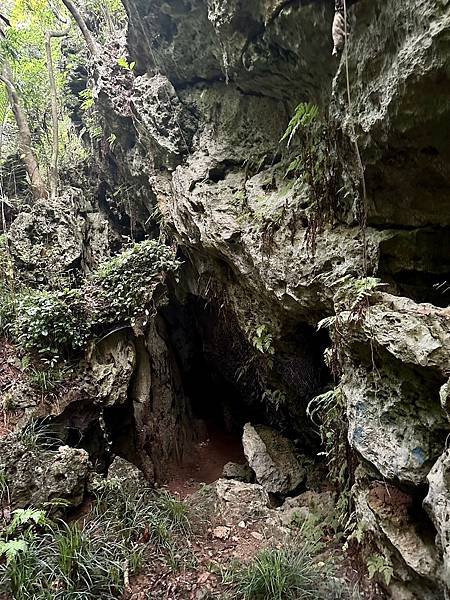 柴山 北峰嶺、盤嶺、虎洞、2024/07/23