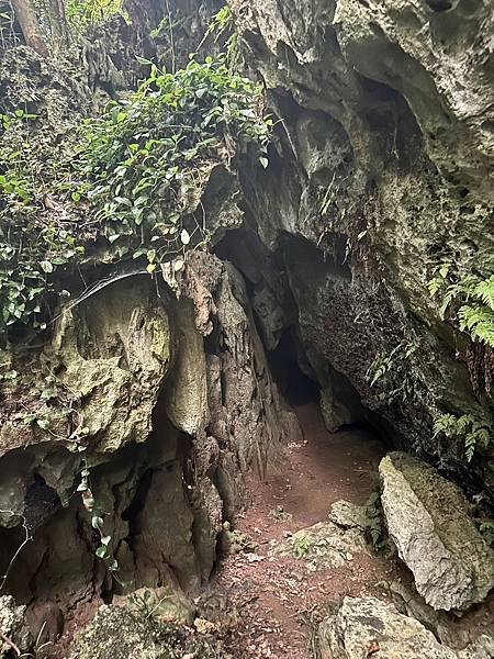 柴山 北峰嶺、盤嶺、虎洞、2024/07/23