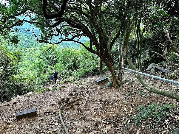 柴山 北峰嶺、盤嶺、虎洞、2024/07/23