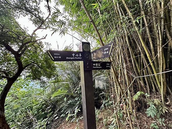 柴山 北峰嶺、盤嶺、虎洞、2024/07/23