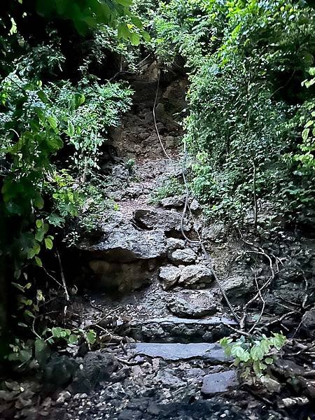 柴山 北峰嶺、盤嶺、虎洞、2024/07/23