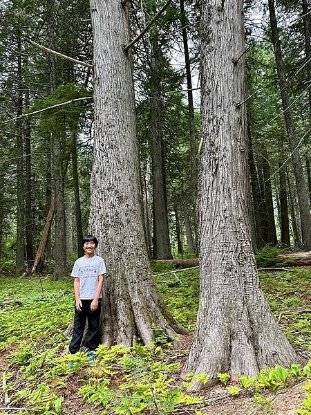 蒙大拿州 冰川國家公園 麥當勞湖區〈美、加洛磯山脈家族自駕遊