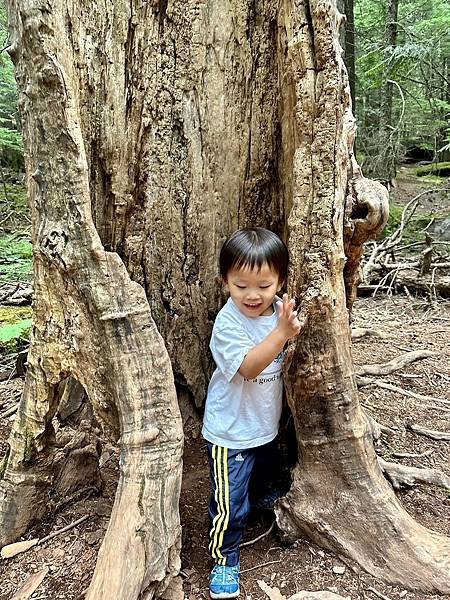 蒙大拿州 冰川國家公園 麥當勞湖區〈美、加洛磯山脈家族自駕遊