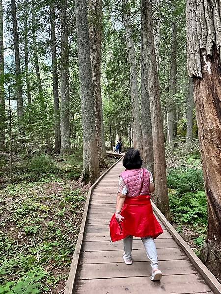 蒙大拿州 冰川國家公園 麥當勞湖區〈美、加洛磯山脈家族自駕遊