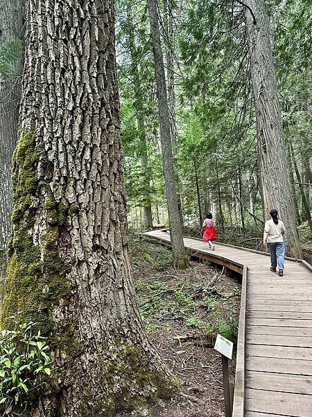 蒙大拿州 冰川國家公園 麥當勞湖區〈美、加洛磯山脈家族自駕遊