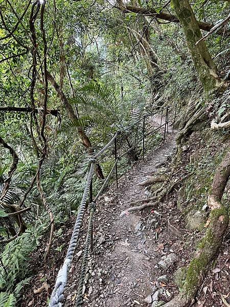 內洞國家森林遊樂區步道群