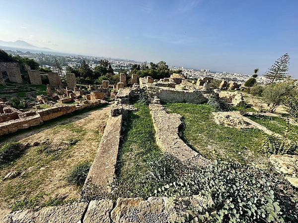 突尼西亞 突尼斯 迦太基遺址〈地中海、亞得里亞海郵輪行 20