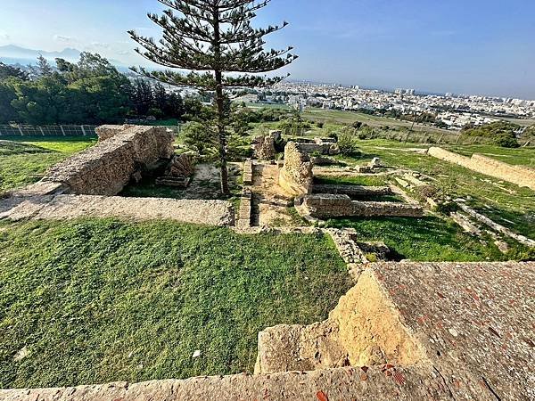 突尼西亞 突尼斯 迦太基遺址〈地中海、亞得里亞海郵輪行 20