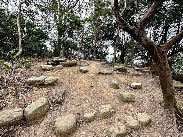 元旦輕裝上登福州山、中埔山，下富陽公園 登遊誌 2024/0