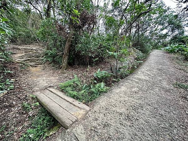 元旦輕裝上登福州山、中埔山，下富陽公園 登遊誌 2024/0