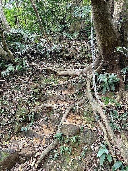 元旦輕裝上登福州山、中埔山，下富陽公園 登遊誌 2024/0