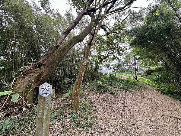 元旦輕裝上登福州山、中埔山，下富陽公園 登遊誌 2024/0