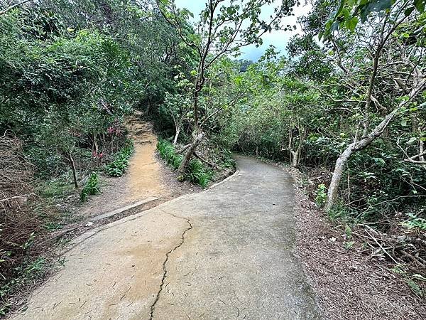 元旦輕裝上登福州山、中埔山，下富陽公園 登遊誌 2024/0