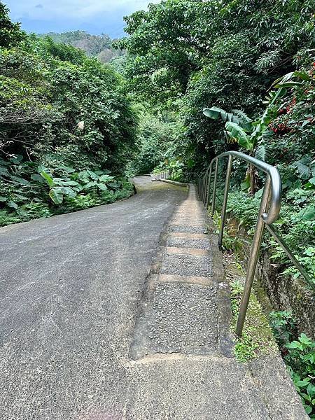 元旦輕裝上登福州山、中埔山，下富陽公園 登遊誌 2024/0