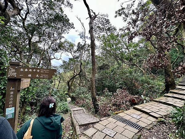象山步道、拇指山、樹梅古道 2025/01/03