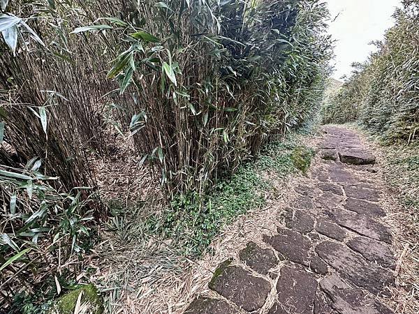 七星山主、東峯，七星公園（苗圃進出）2025/01/07