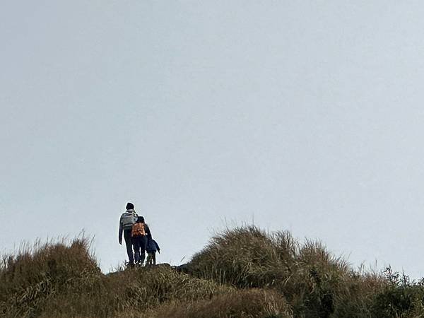 七星山主、東峯，七星公園（苗圃進出）2025/01/07