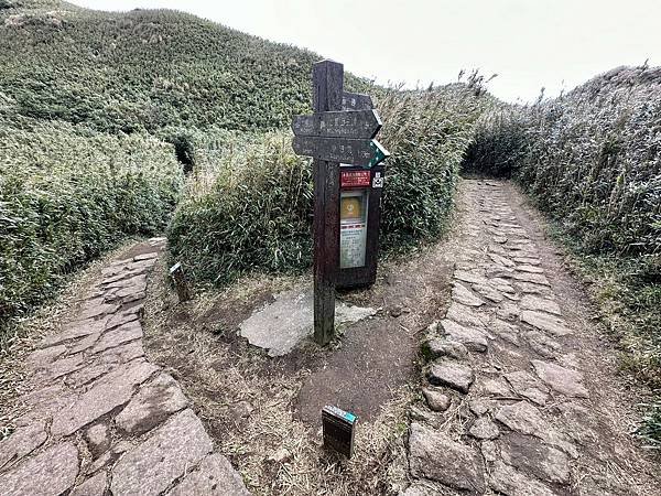 七星山主、東峯，七星公園（苗圃進出）2025/01/07