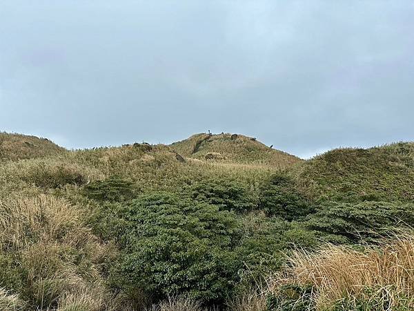 七星山主、東峯，七星公園（苗圃進出）2025/01/07