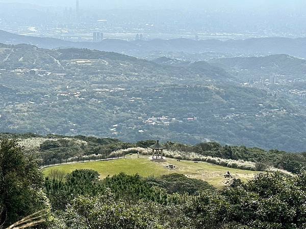 七星山主、東峯，七星公園（苗圃進出）2025/01/07