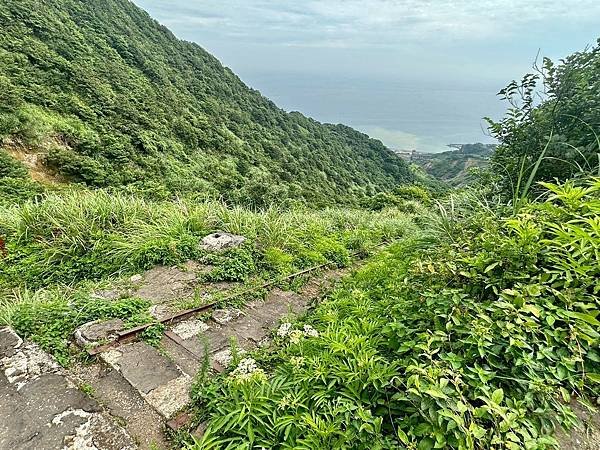 新北瑞芳 無耳茶壺山步道、深澳象鼻岩 2025/05/22〈