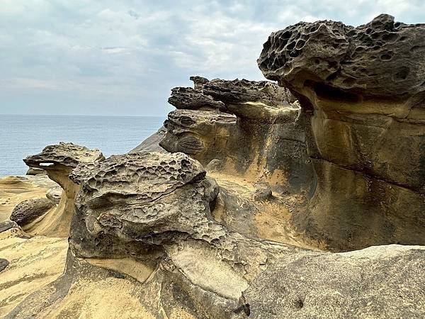 新北瑞芳 無耳茶壺山步道、深澳象鼻岩 2025/05/22〈