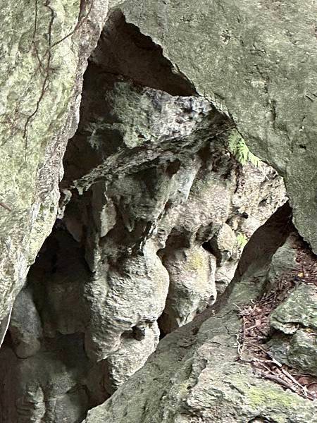 柴山泰國谷、迴旋谷、大深谷生態遊 2025/06/06