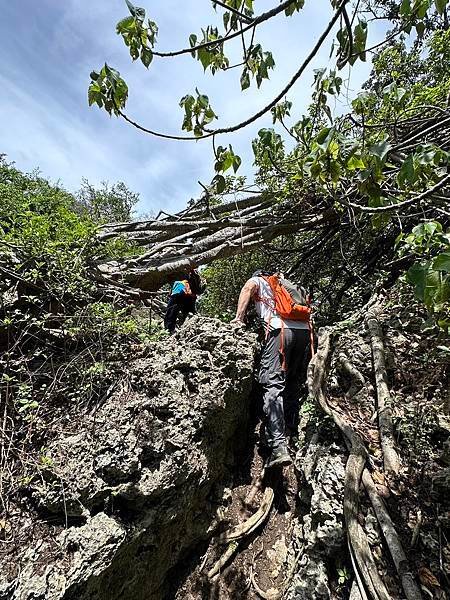 柴山泰國谷、迴旋谷、大深谷生態遊 2025/06/06