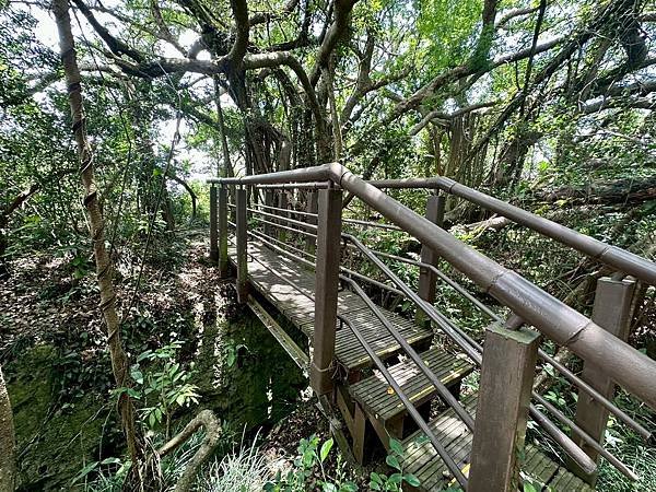 柴山泰國谷、迴旋谷、大深谷生態遊 2025/06/06