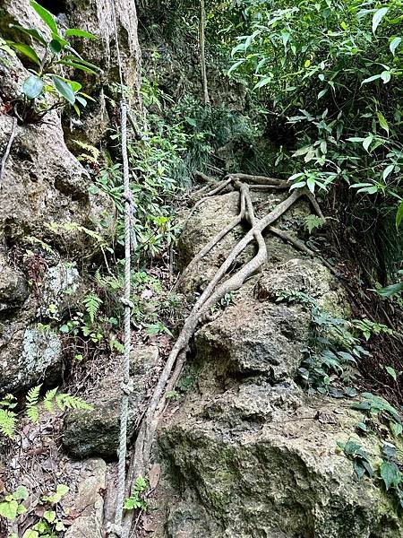柴山泰國谷、迴旋谷、大深谷生態遊 2025/06/06