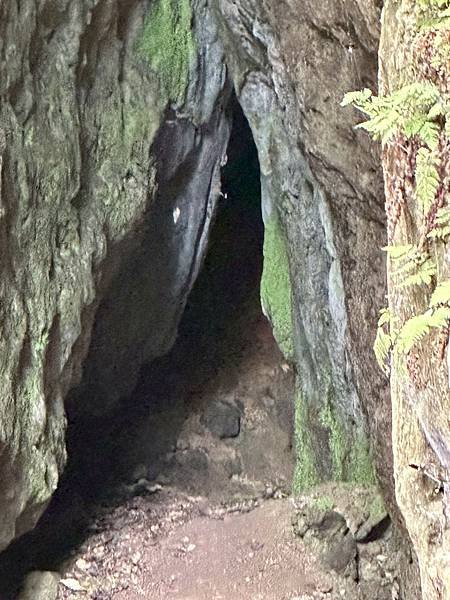 柴山泰國谷、迴旋谷、大深谷生態遊 2025/06/06
