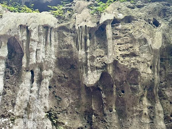 柴山泰國谷、迴旋谷、大深谷生態遊 2025/06/06