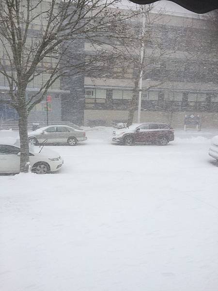 雪1.jpg