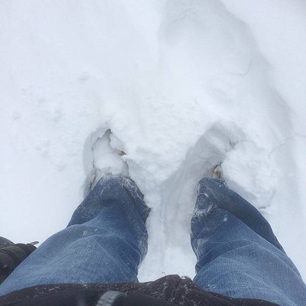 雪3.jpg