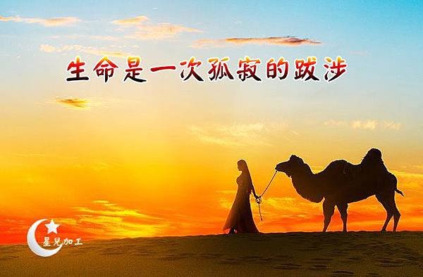 生命是一次孤寂的跋涉1.jpg