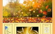 霜葉紅於二月花2.jpg